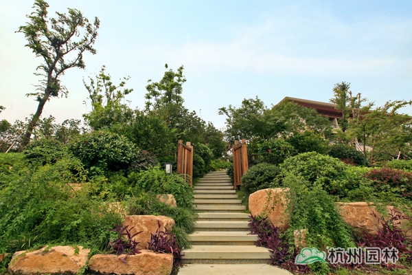 电竞比赛押注app