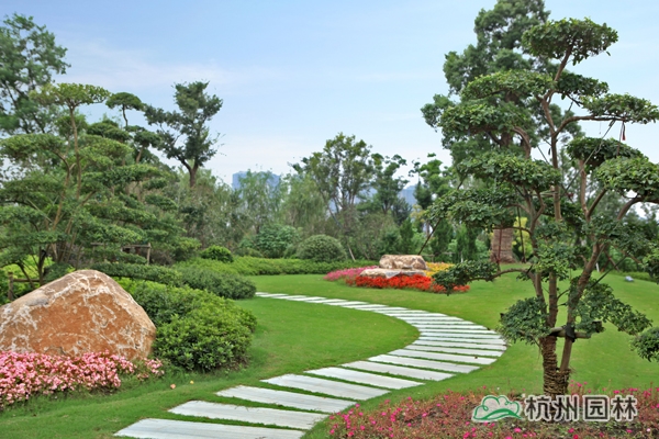 电竞比赛押注app