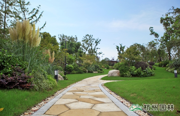 电竞比赛押注app