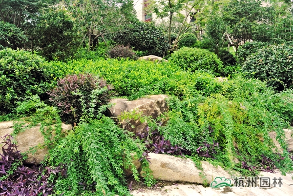 电竞比赛押注app