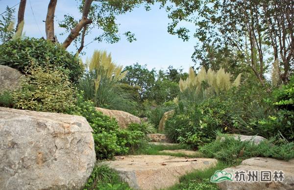 电竞比赛押注app