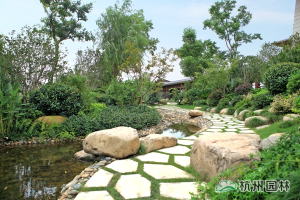 电竞比赛押注app