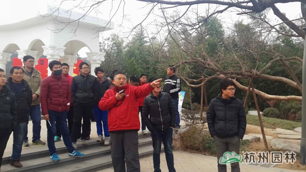 电竞比赛押注app