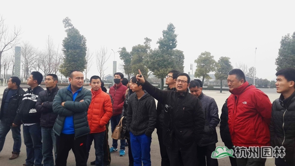 电竞比赛押注app