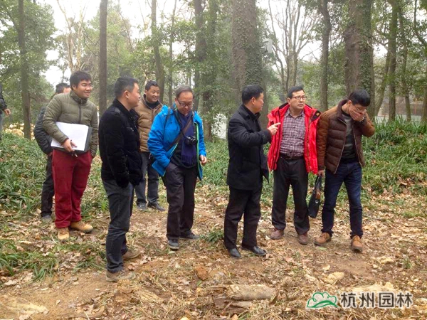 电竞比赛押注app