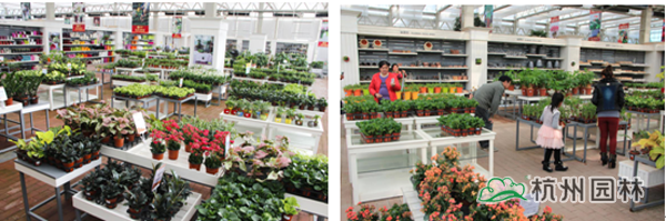 电竞比赛押注app