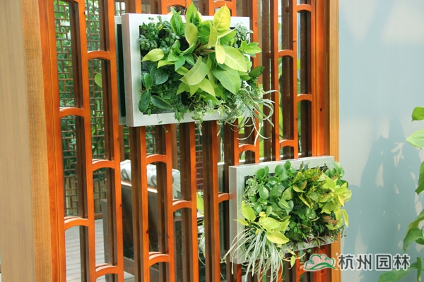 电竞比赛押注app