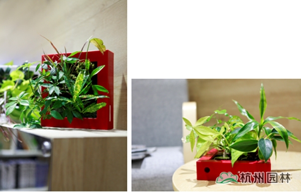 电竞比赛押注app