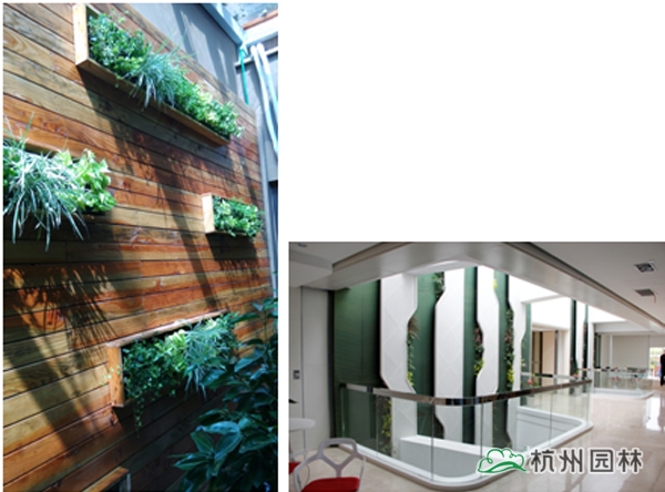 电竞比赛押注app