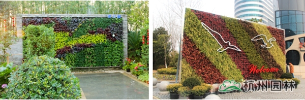 电竞比赛押注app