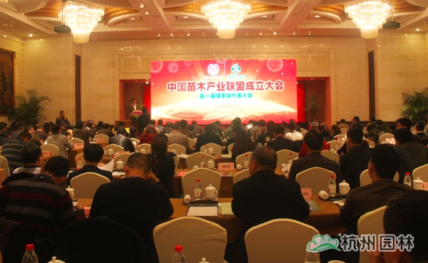 电竞比赛押注app