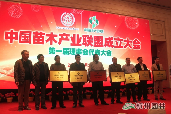 电竞比赛押注app