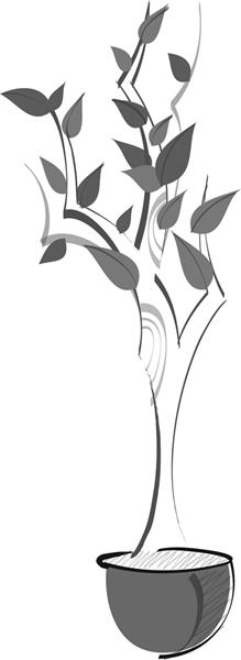 电竞比赛押注app