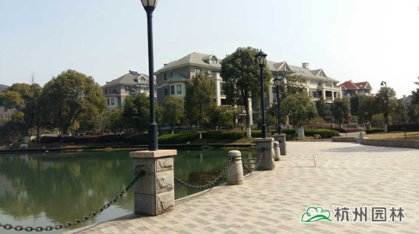 电竞比赛押注app