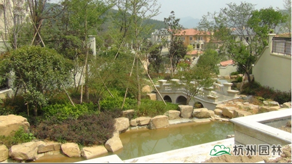 电竞比赛押注app