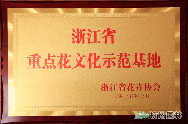 电竞比赛押注app