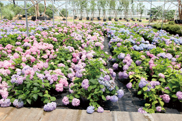 电竞比赛押注app