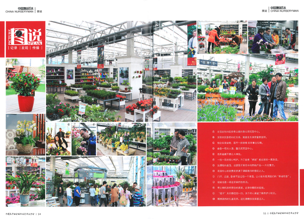 电竞比赛押注app