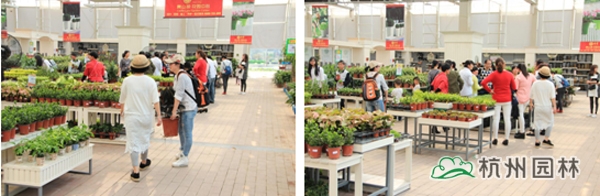 电竞比赛押注app