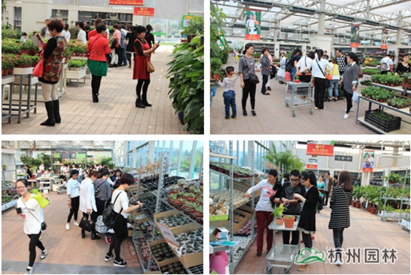 电竞比赛押注app