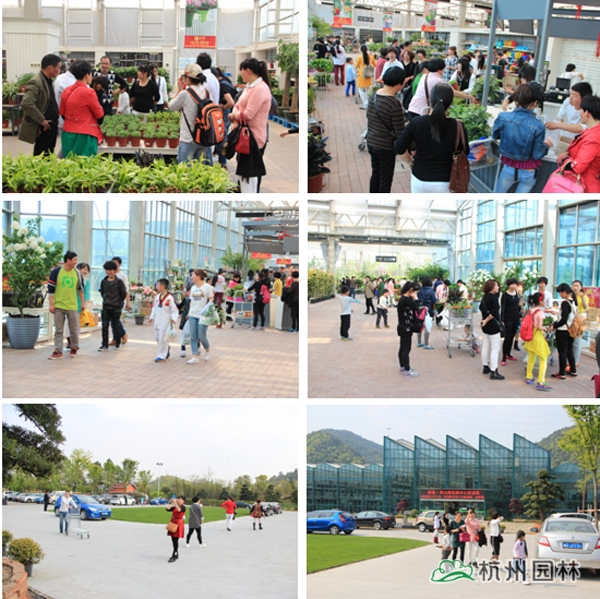 电竞比赛押注app