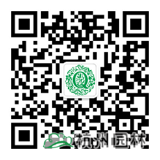 电竞比赛押注app