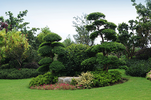 电竞比赛押注app