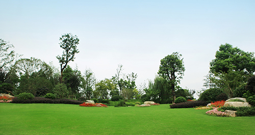 电竞比赛押注app