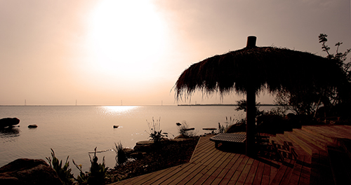 电竞比赛押注app