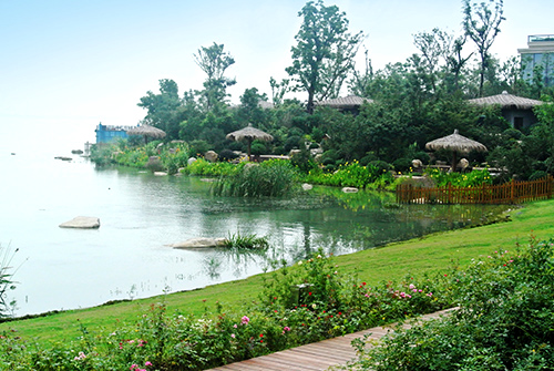 电竞比赛押注app