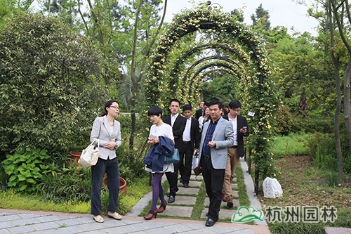 电竞比赛押注app