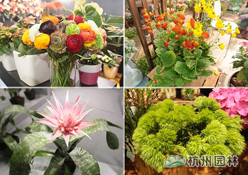 电竞比赛押注app