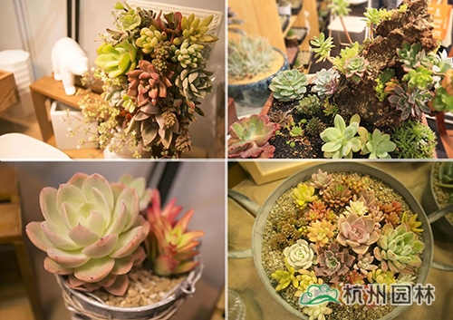 电竞比赛押注app