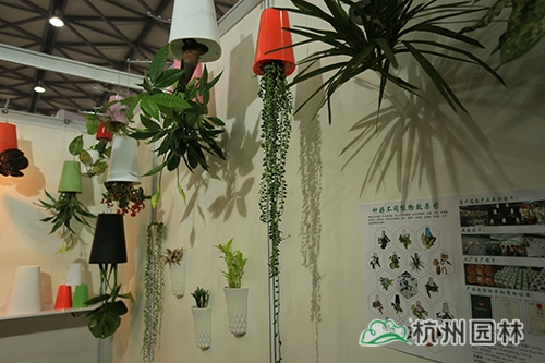 电竞比赛押注app