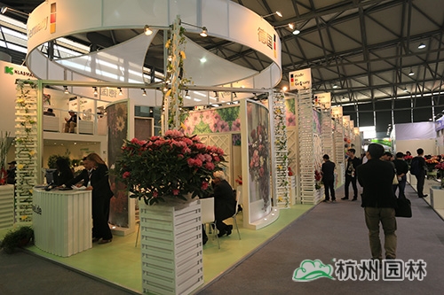 电竞比赛押注app