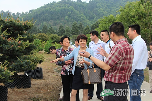 电竞比赛押注app