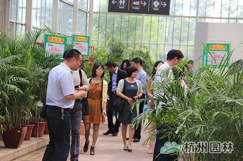 电竞比赛押注app