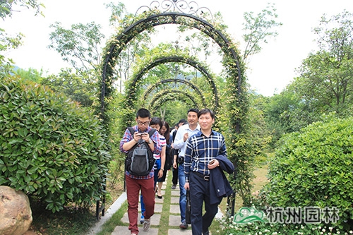 电竞比赛押注app