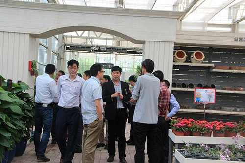 电竞比赛押注app