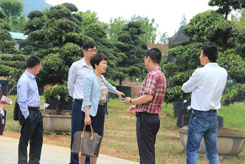 电竞比赛押注app