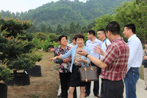 电竞比赛押注app