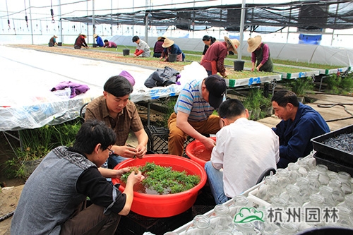 电竞比赛押注app