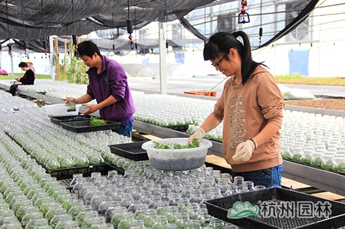 电竞比赛押注app