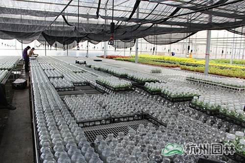 电竞比赛押注app