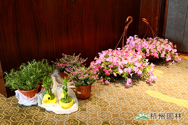 电竞比赛押注app