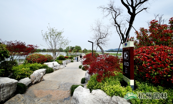 电竞比赛押注app