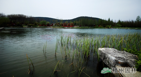 电竞比赛押注app