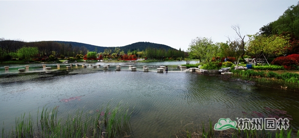 电竞比赛押注app