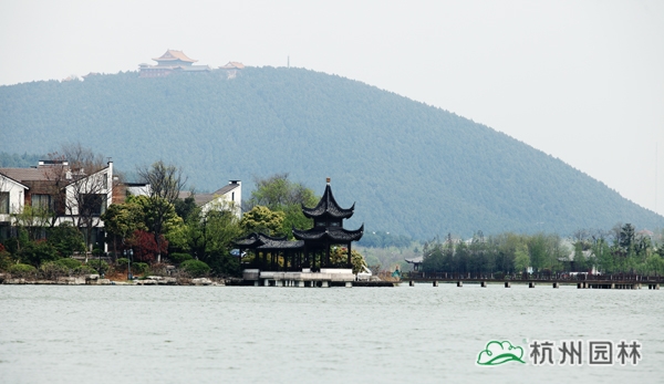 电竞比赛押注app