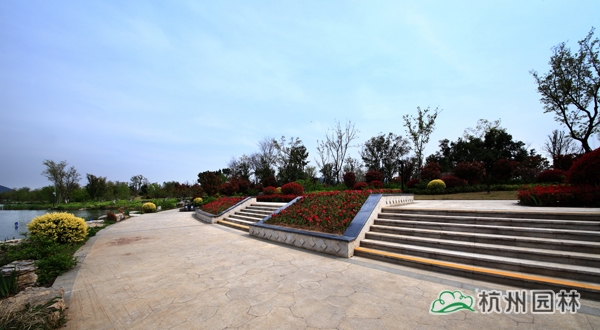 电竞比赛押注app